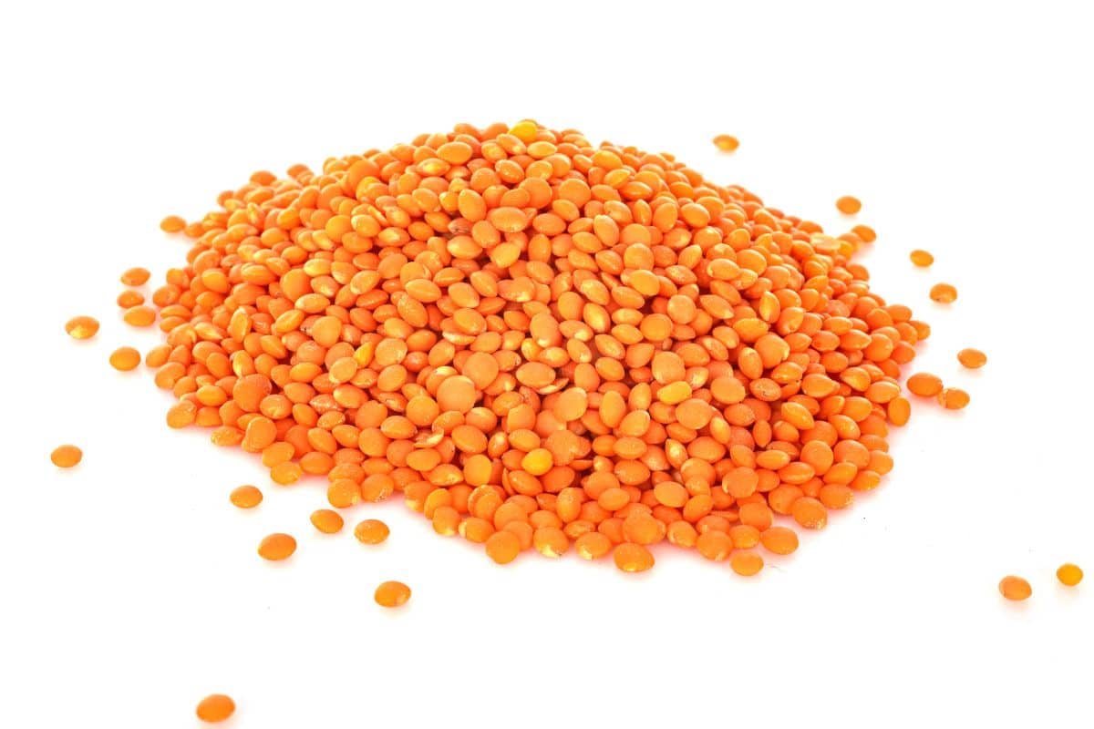 Red lentils on a white background.