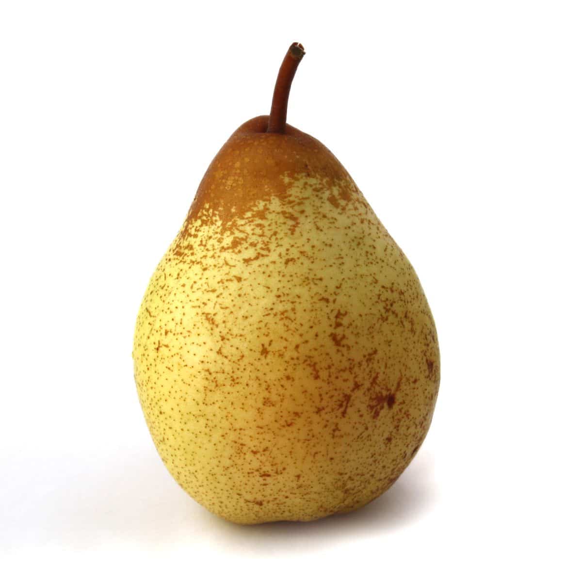 Rocha pear on a white background.