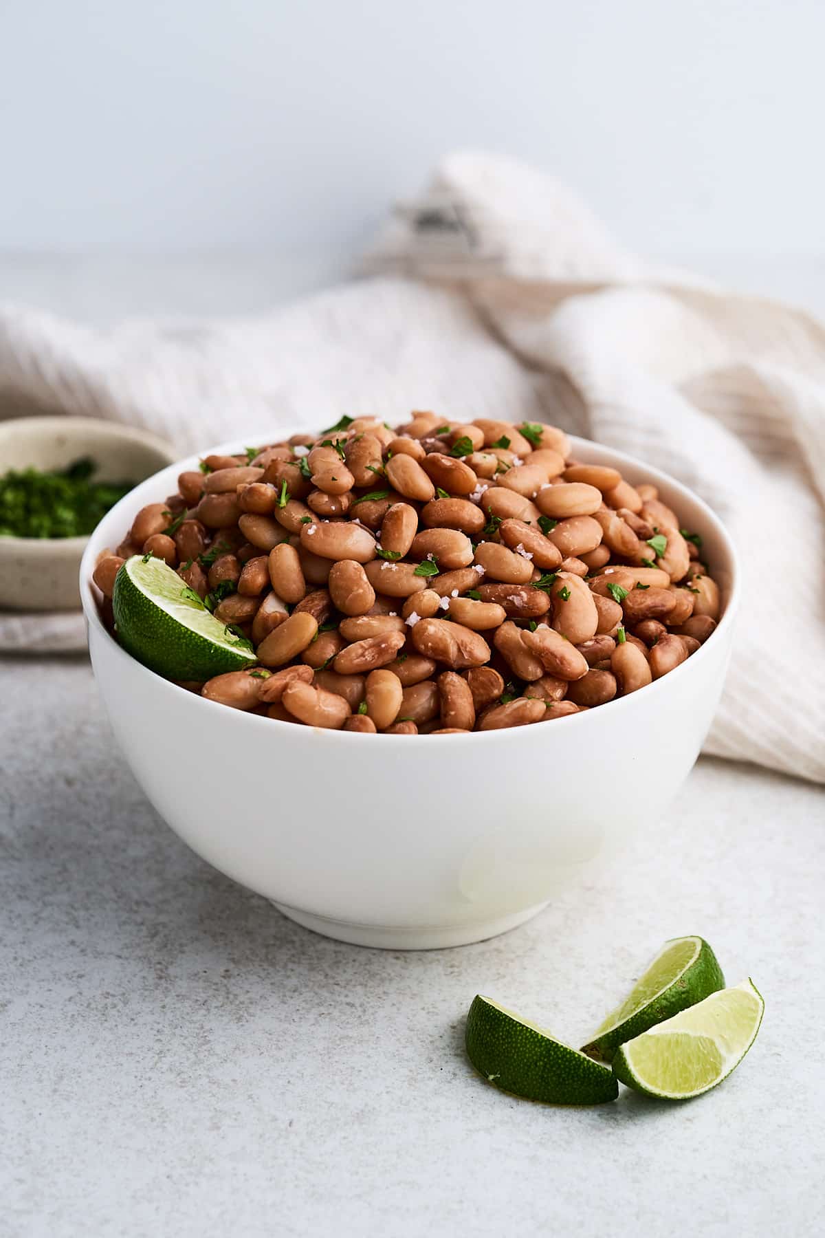Cooked pinto beans in a bowl.