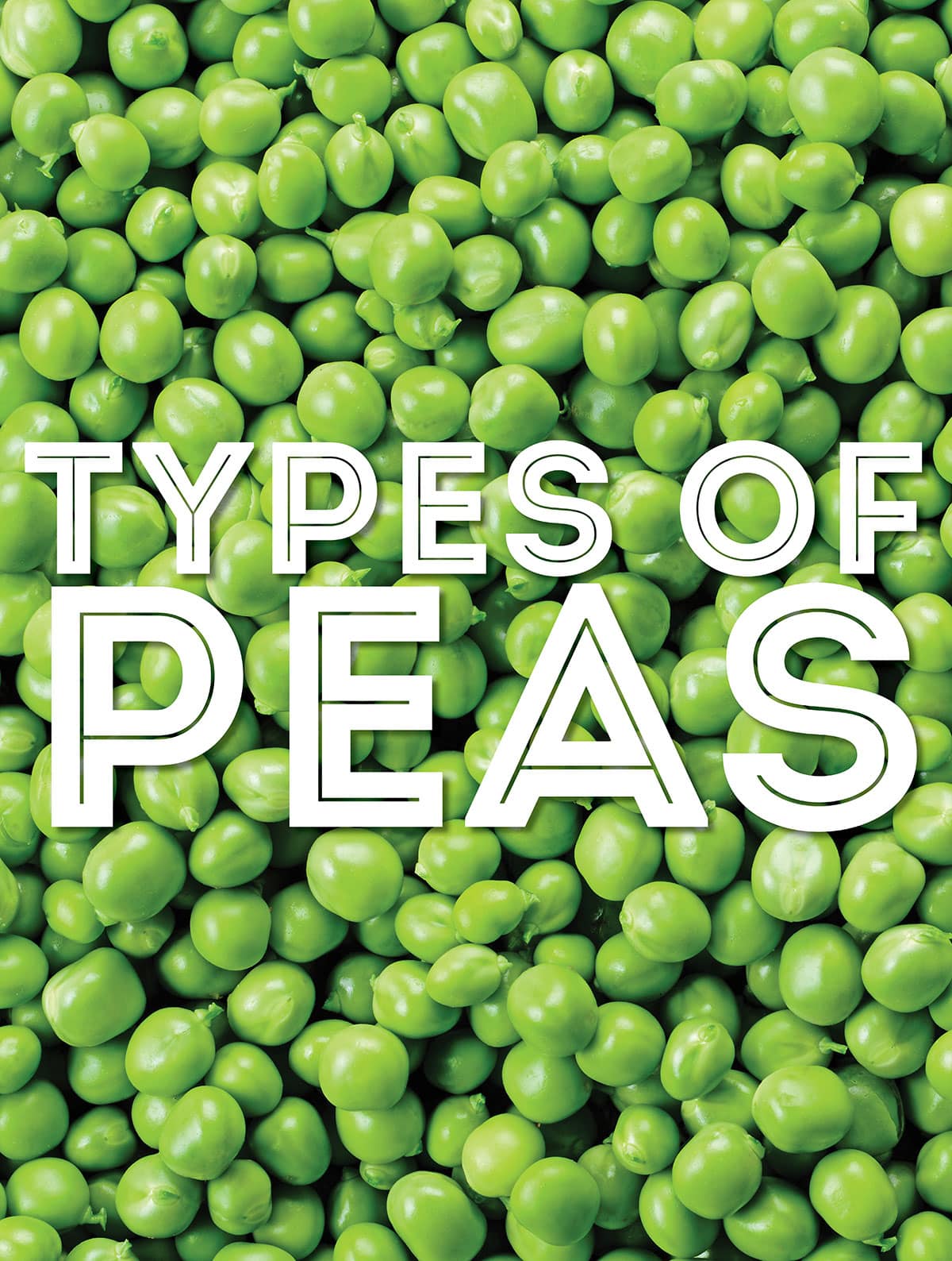 Collage that says "types of peas".