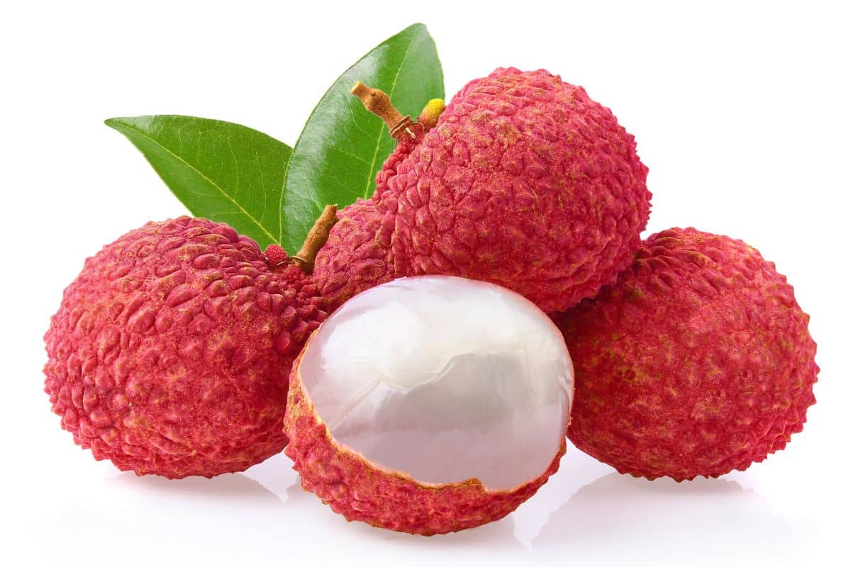 Lychee on a white background.