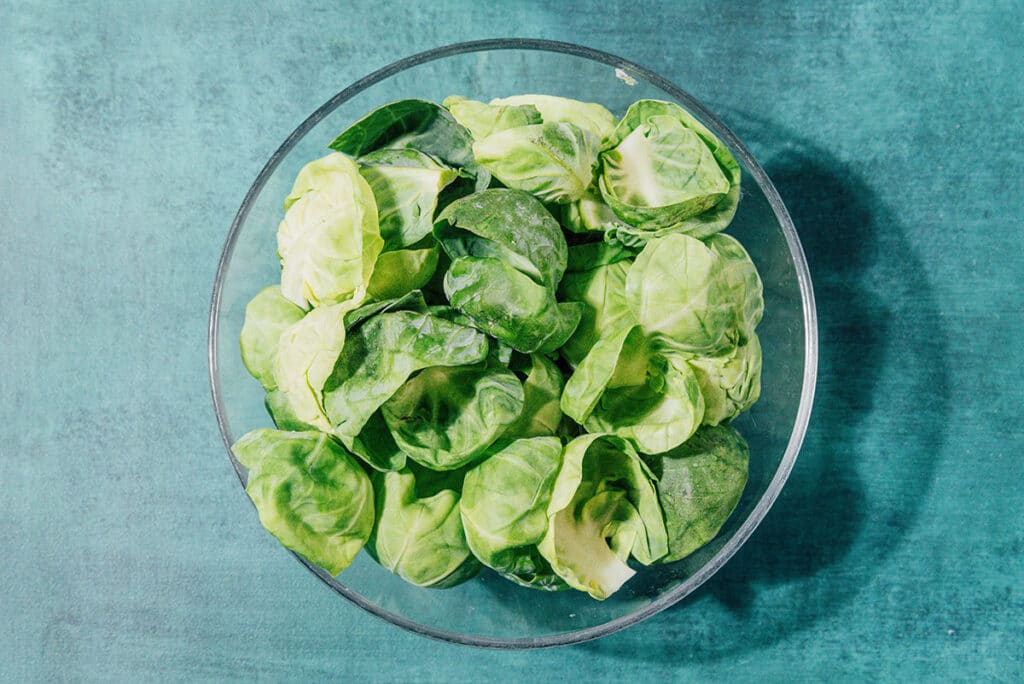 Brussels sprout leaves in a bowl.