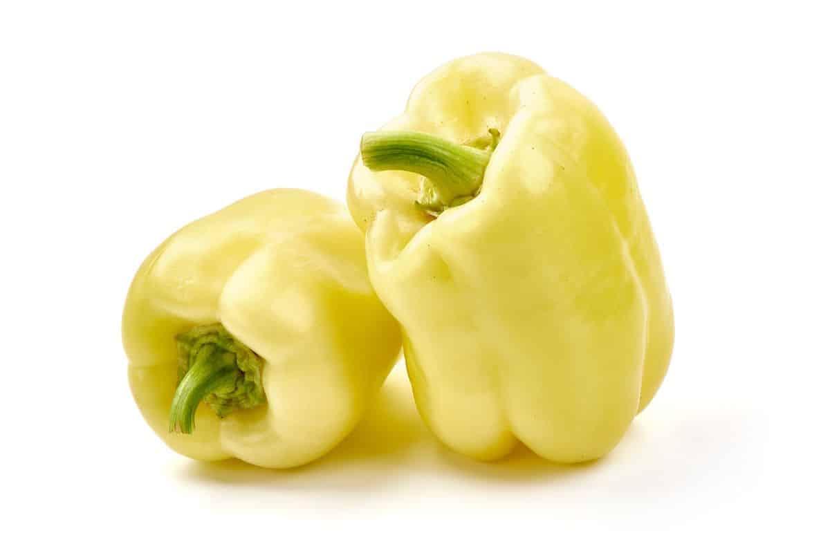 White bell pepper on a white background.