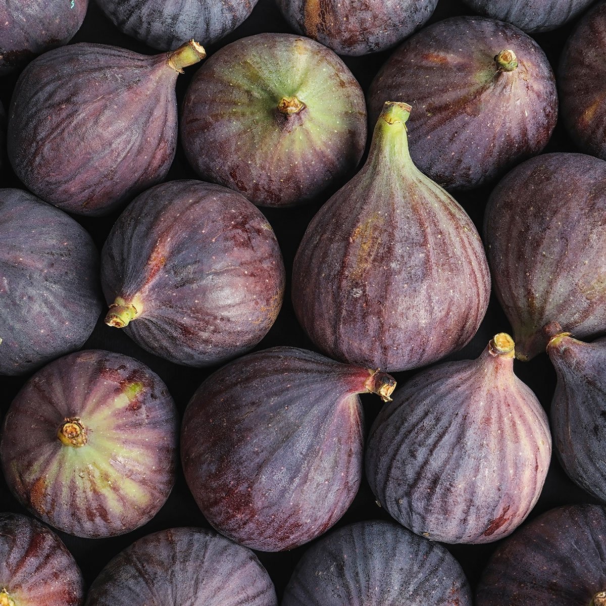 Many figs.