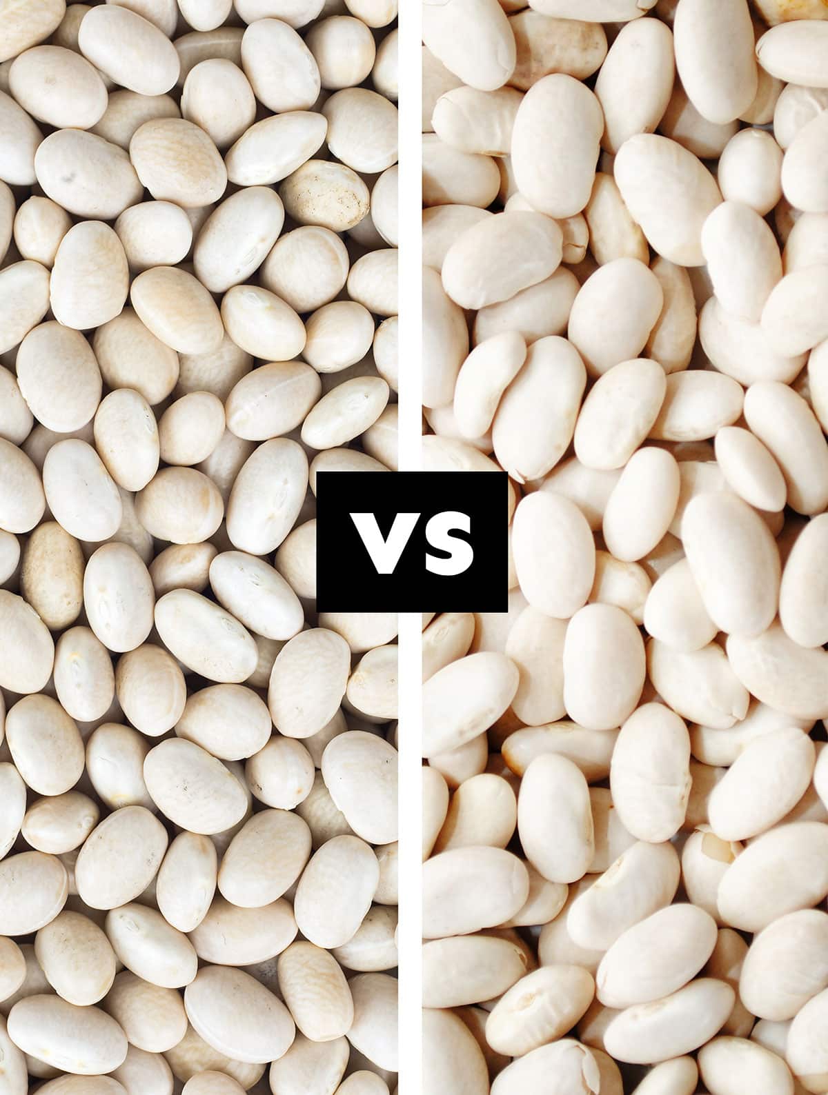 Navy beans vs great northern beans.