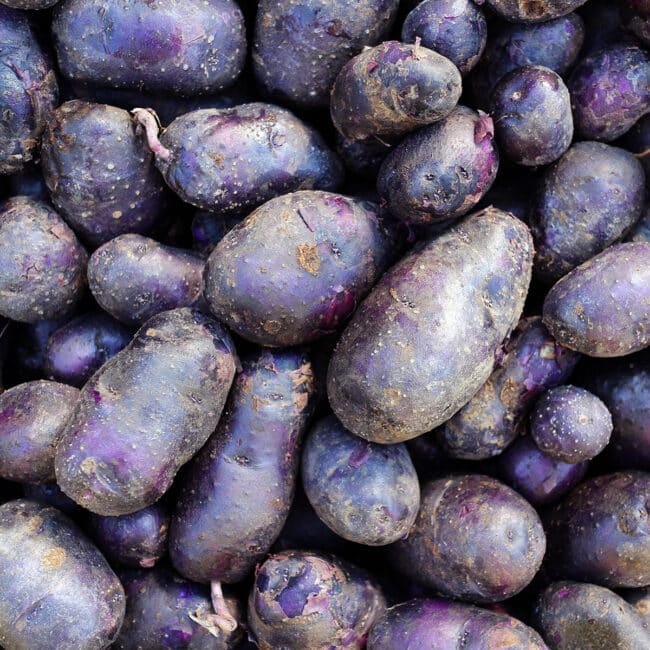 Purple potatoes from above.