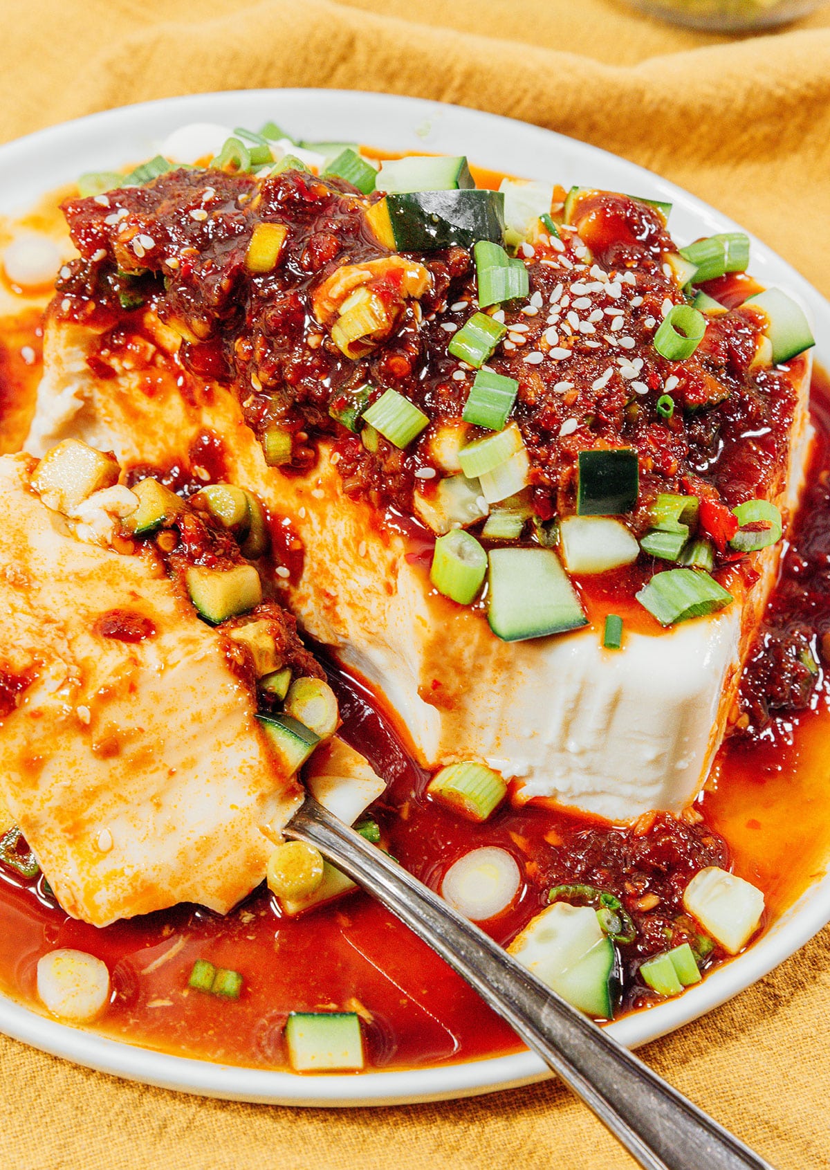 Silken tofu with spicy soy sauce and green onions on top.