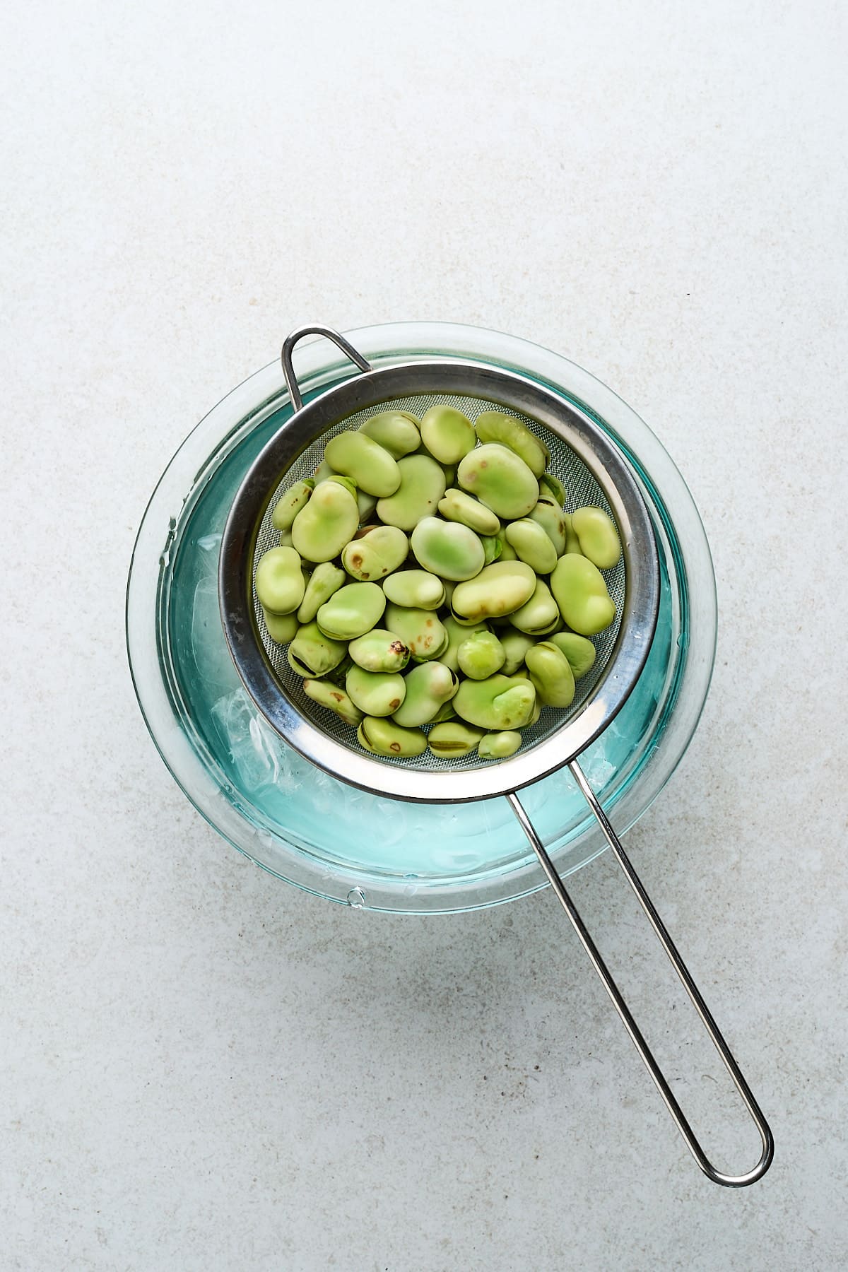 Fava beans in an ice bath.