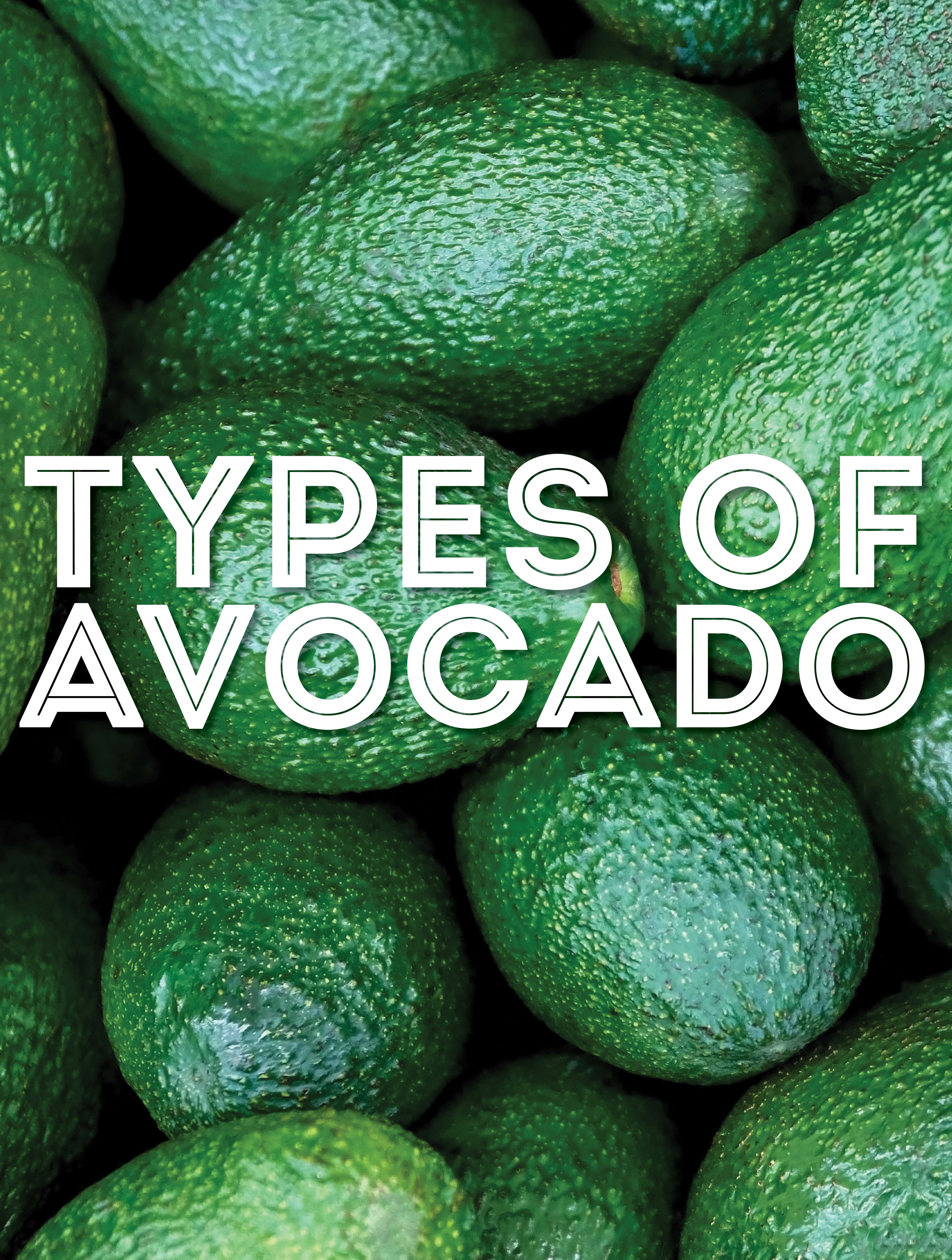 Collage that says "types of avocado".