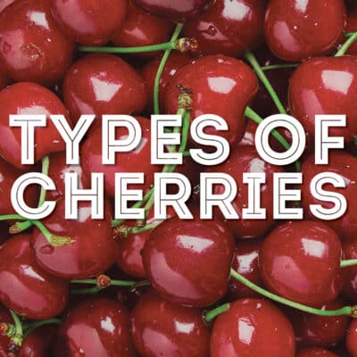 Collage called "types of cherries".