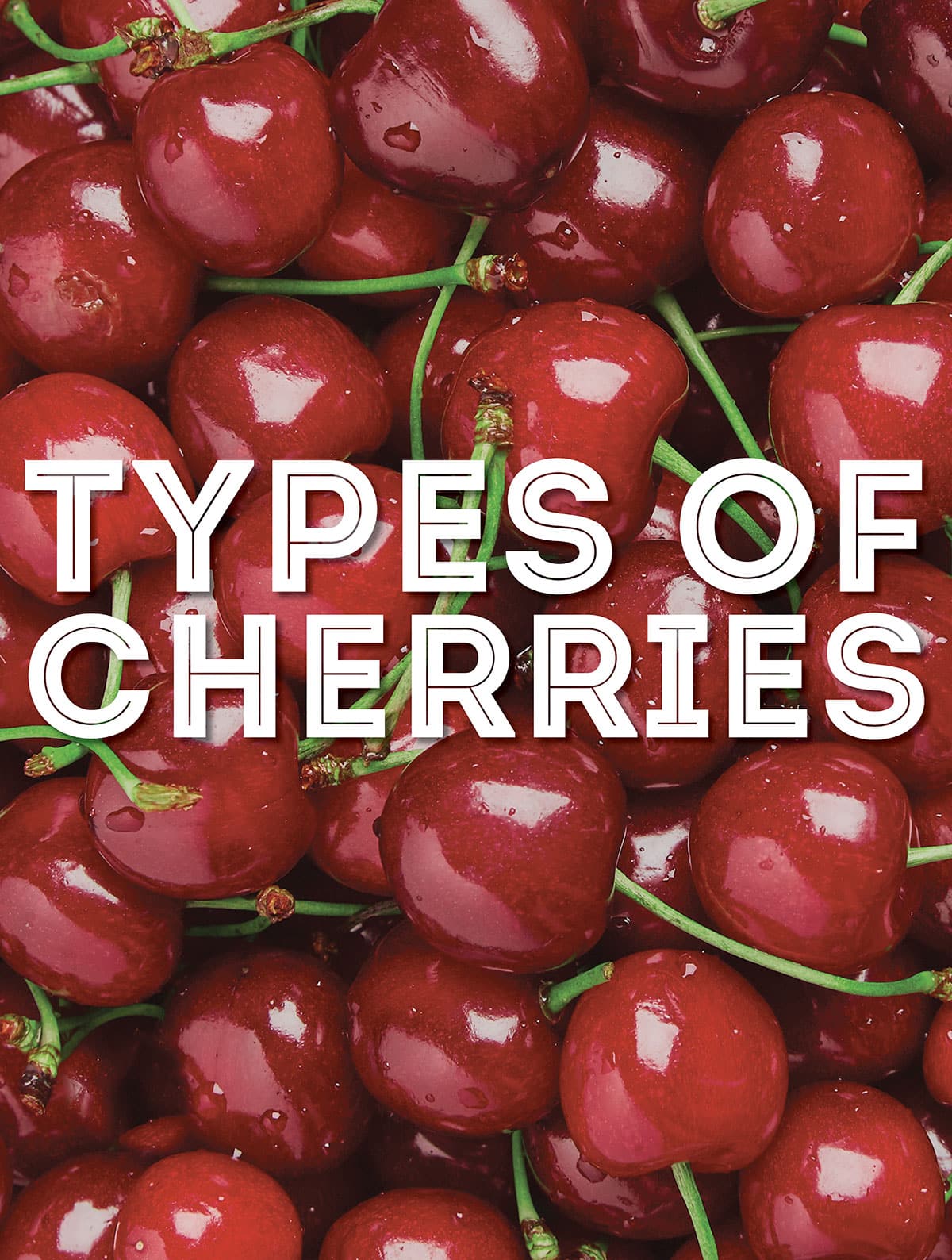 Collage called "types of cherries".