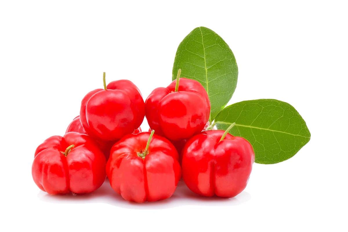 Acerola cherries on a white background.