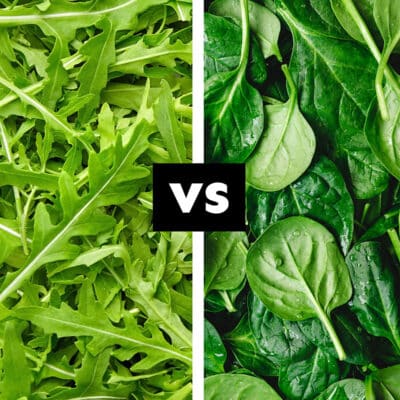 Collage of arugula vs spinach.
