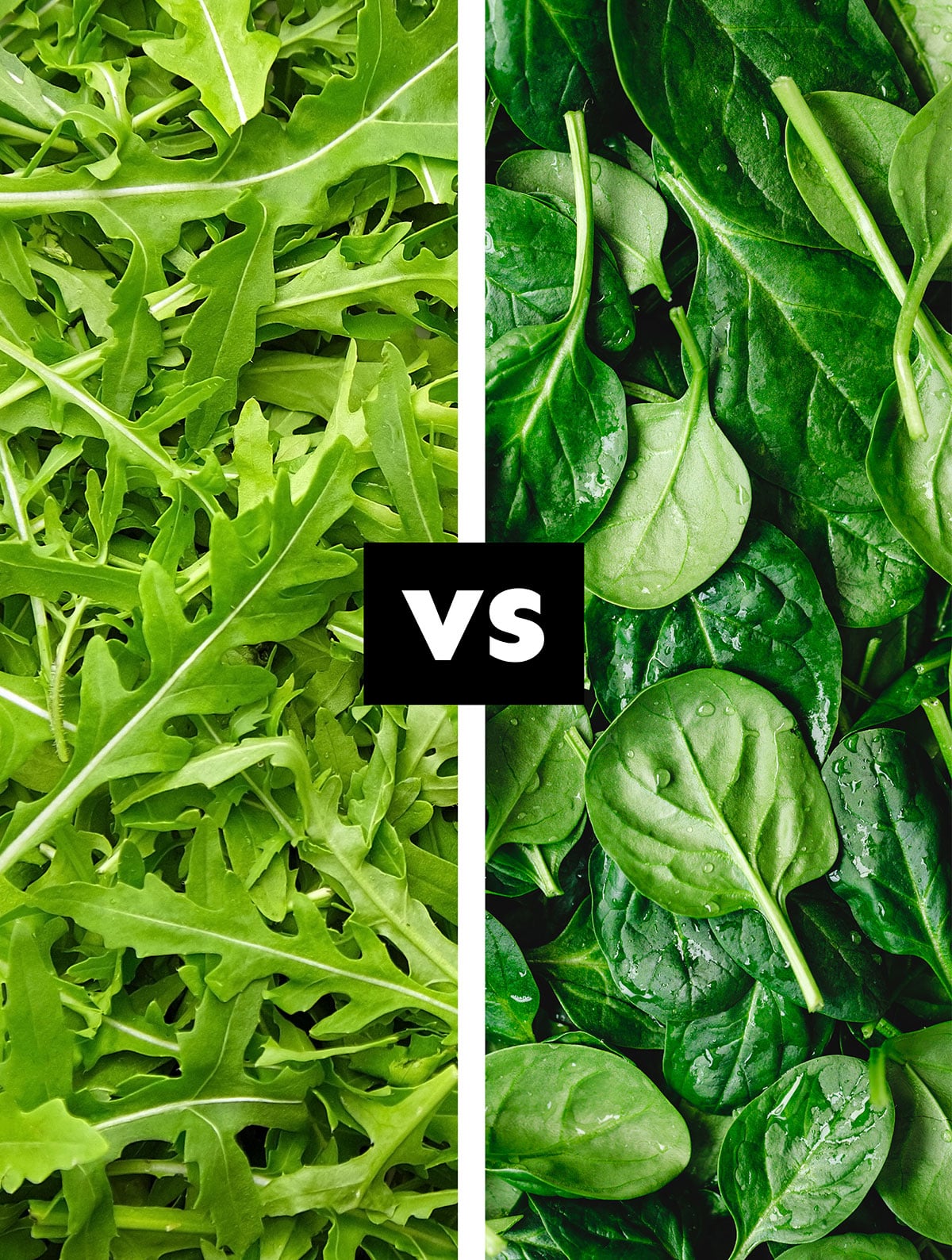 Collage of arugula vs spinach.