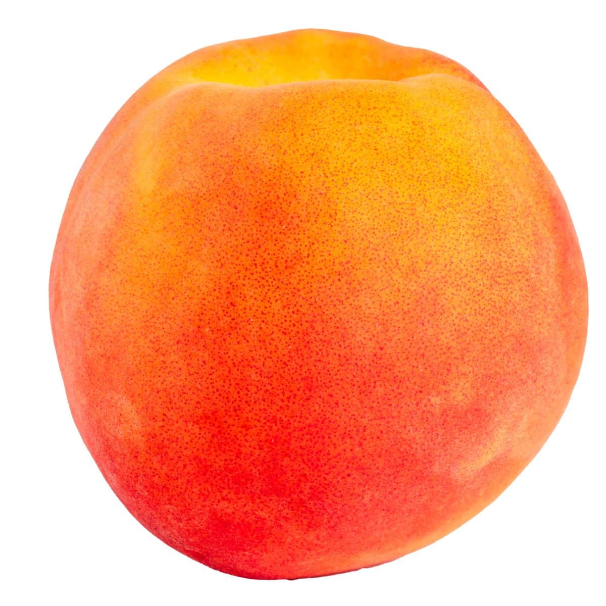 Babcock peach on a white background.