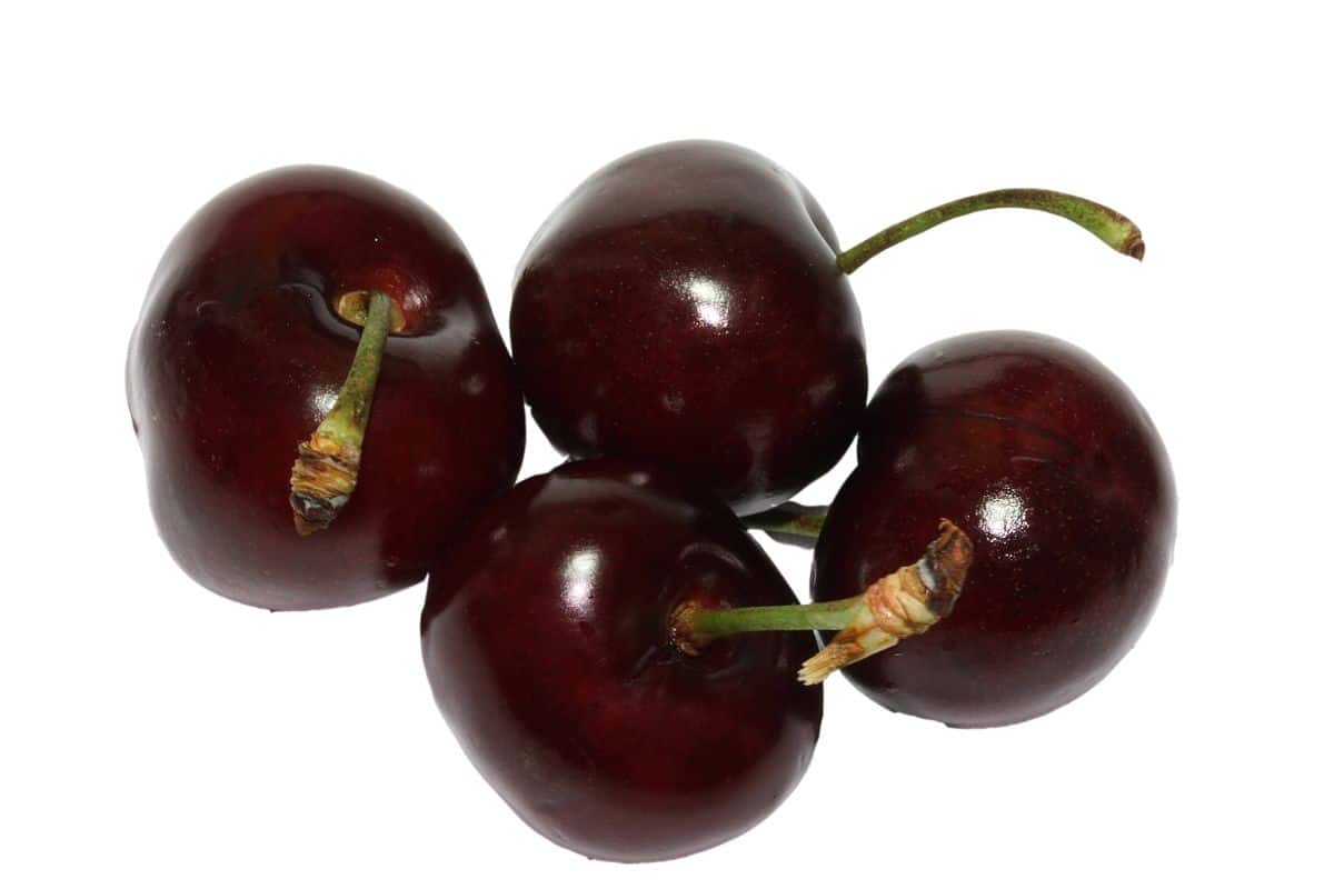 Bada bing cherries on a white background.