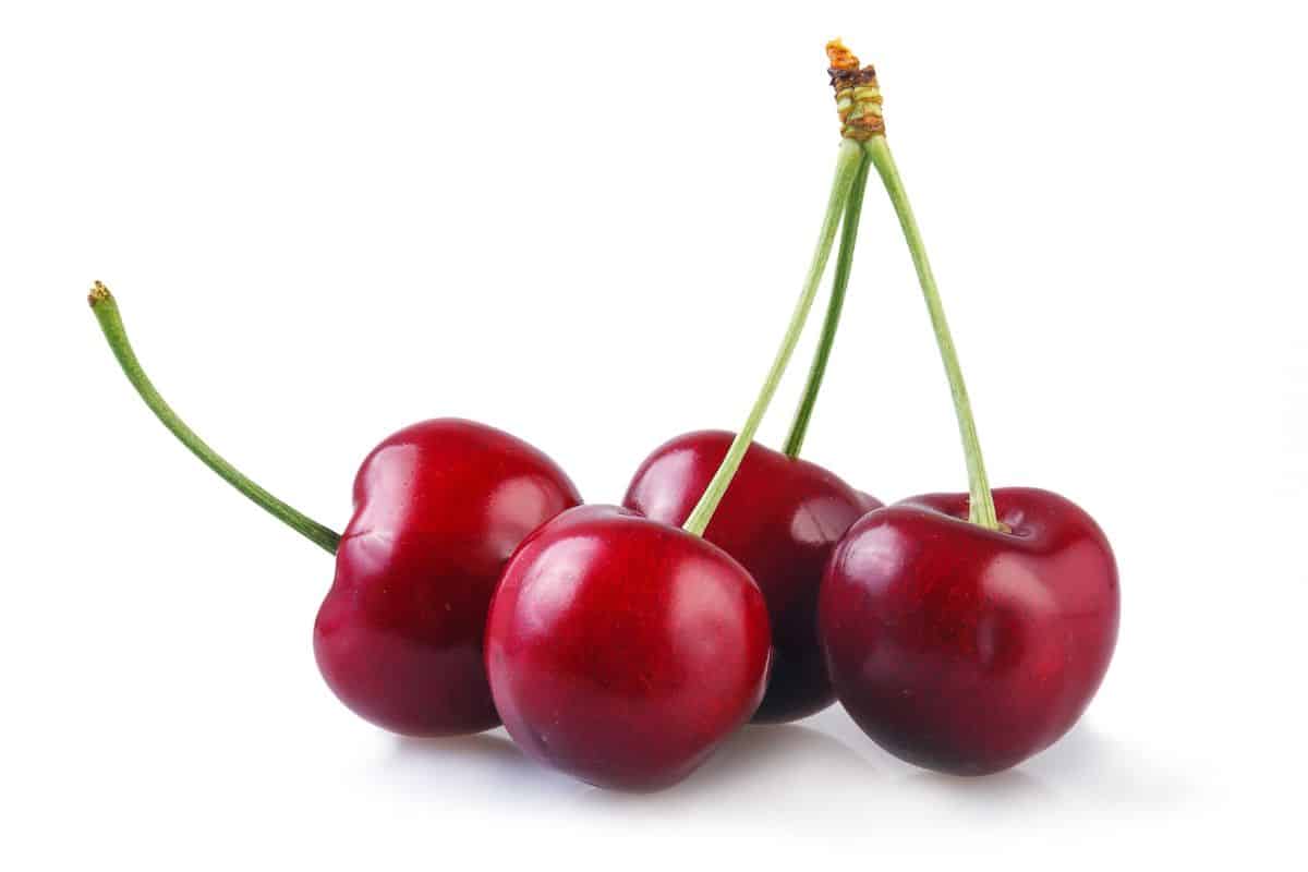 Bing cherries on a white background.