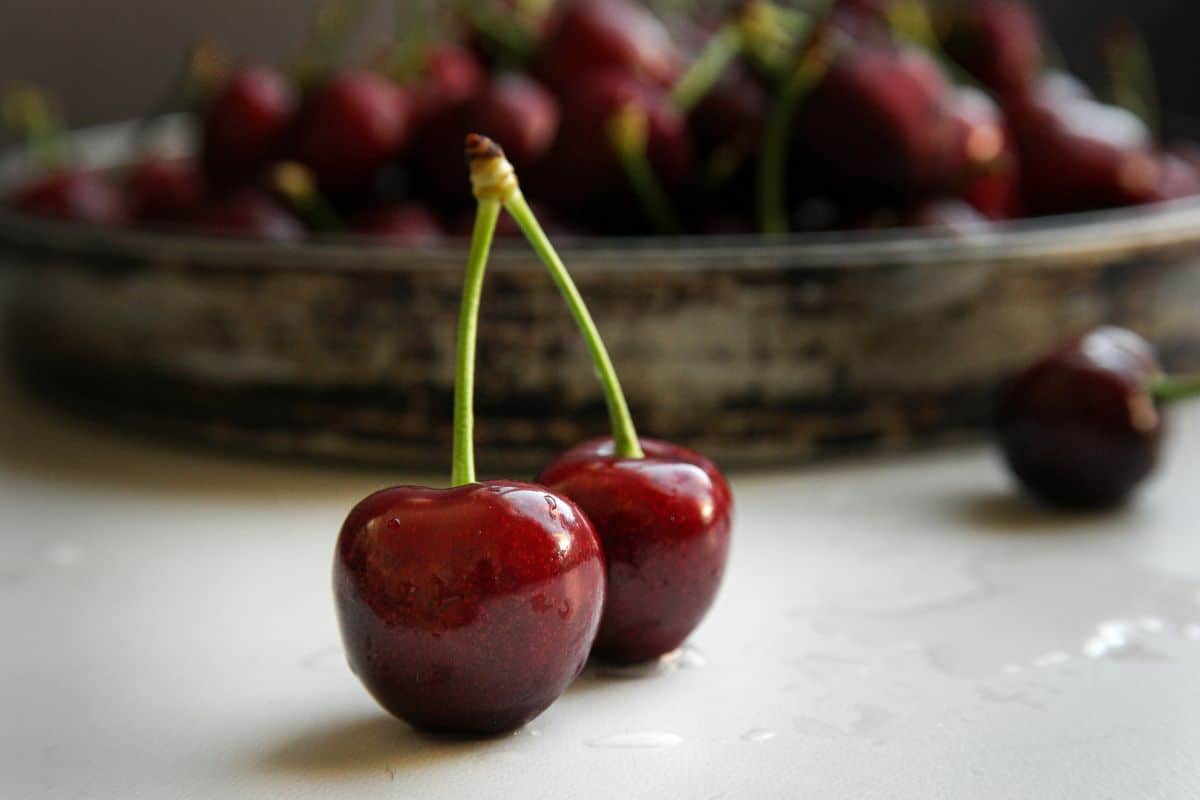 Chelan cherries on a table.