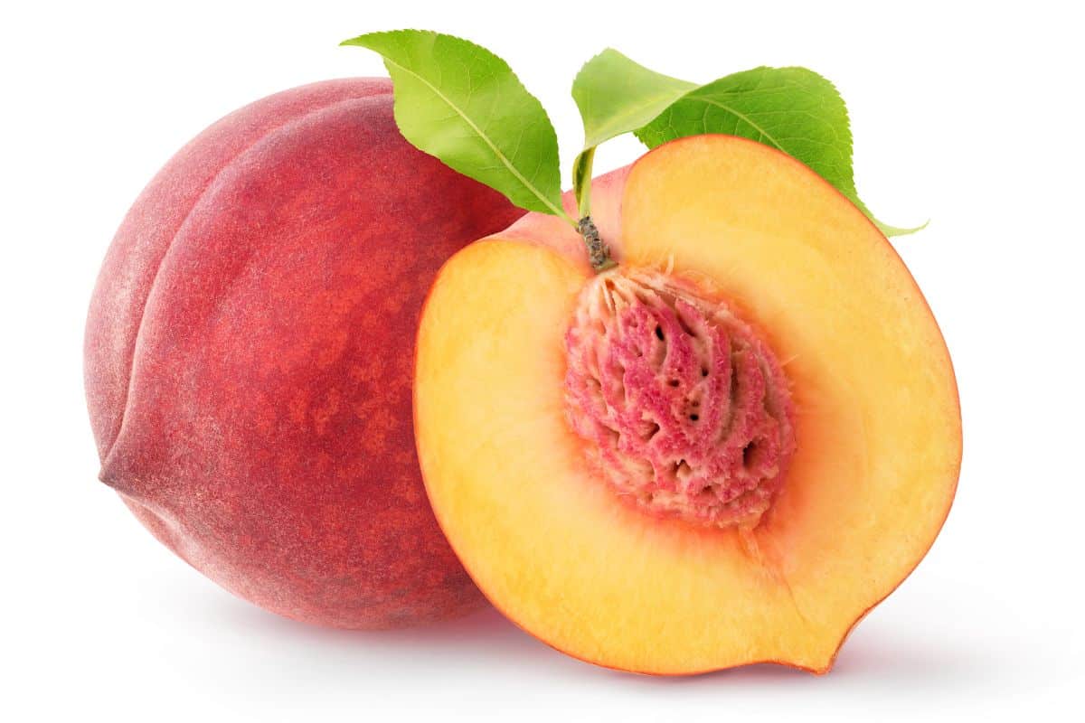 Crest haven peaches on a white background.