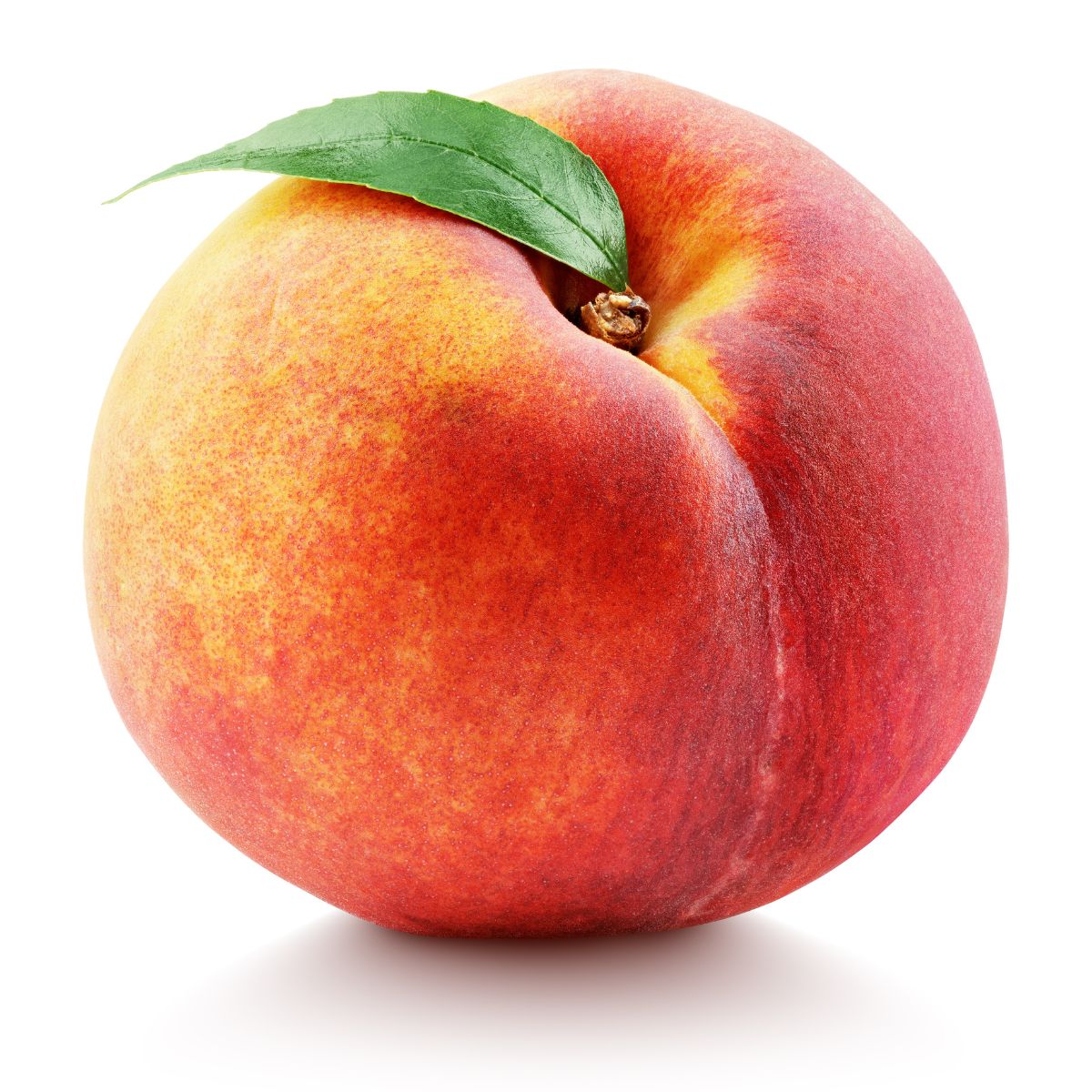 Early amber peach on a white background.
