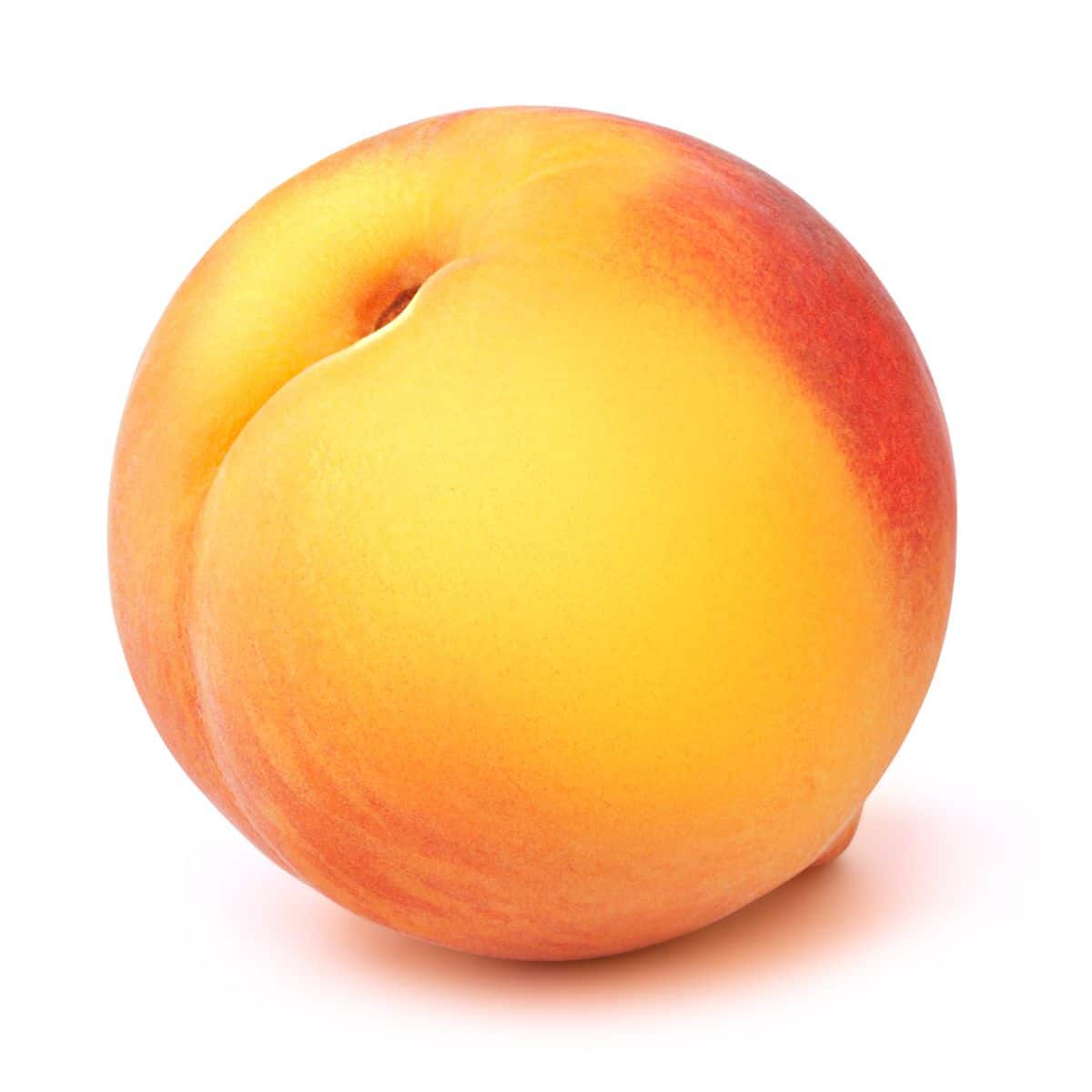 Elberta peach on a white background.