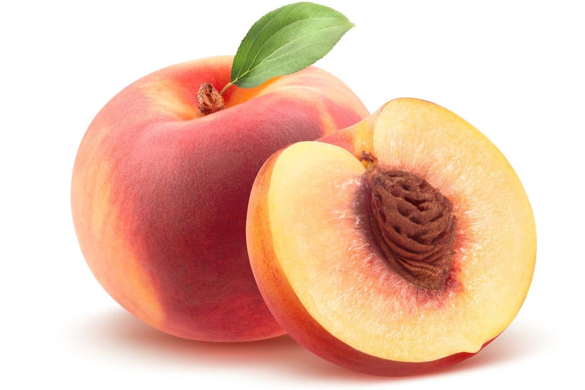 Fortyniner peaches on a white background.