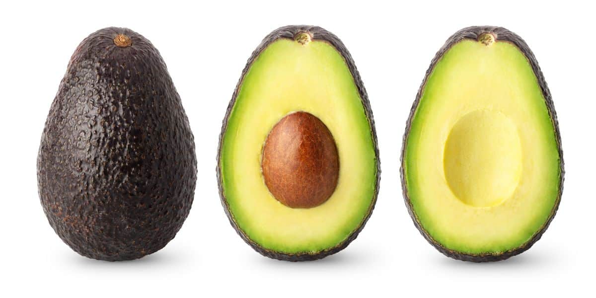 Two joey avocados on a white background with one cut open.