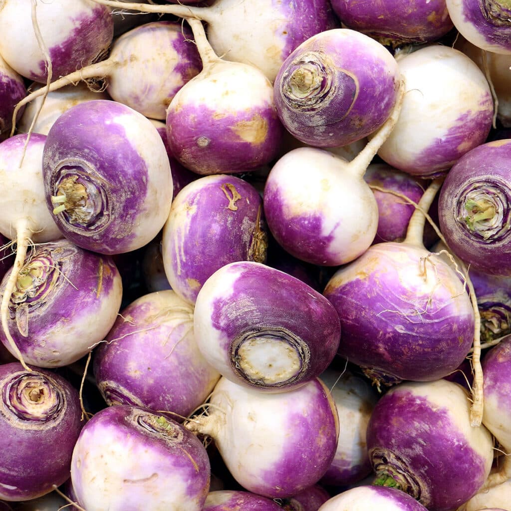 Turnips vs radishes.