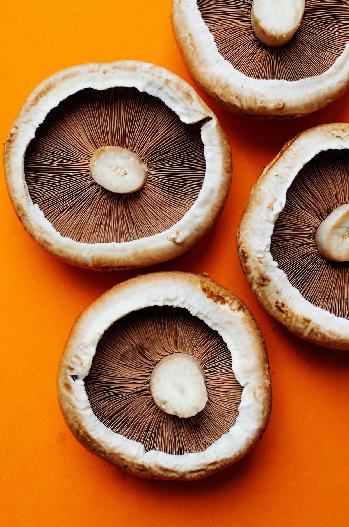 Portobello mushrooms on an orange background.