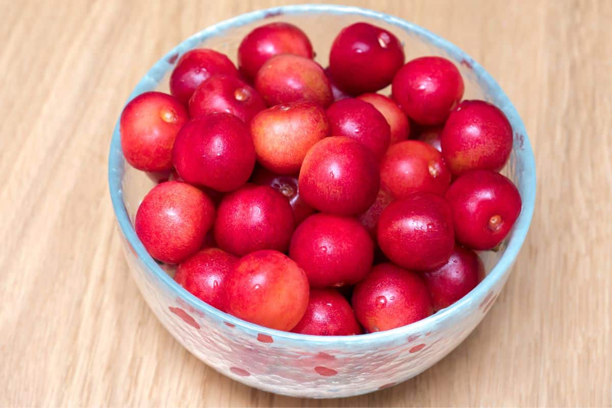 Sato nishiki cherries in a bowl on a wood table.