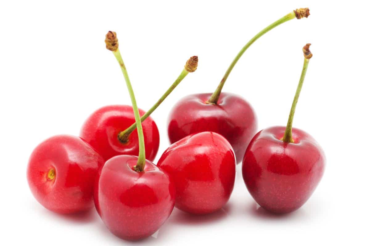Sour cherries on a white background.