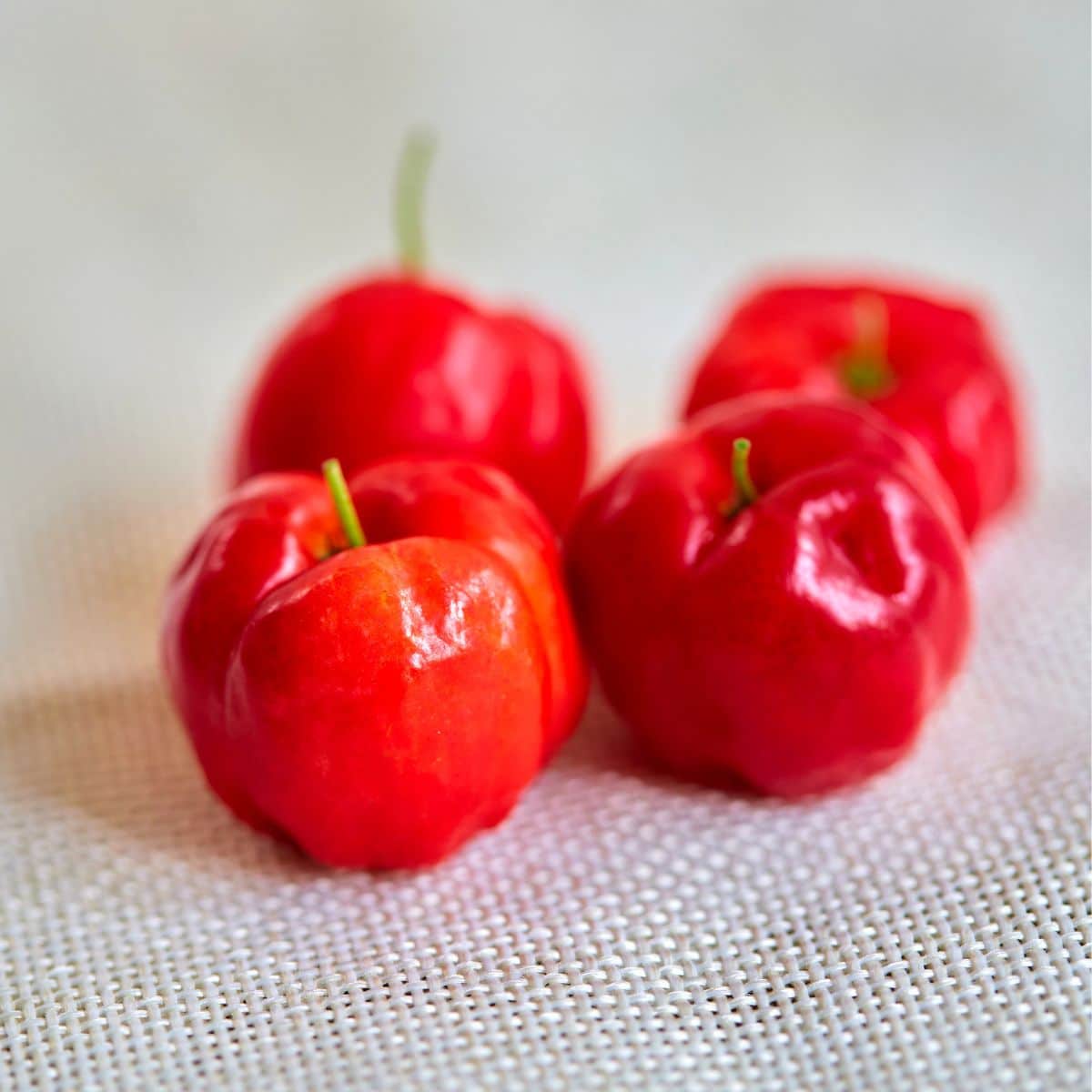 Spanish cherries on a table cloth.