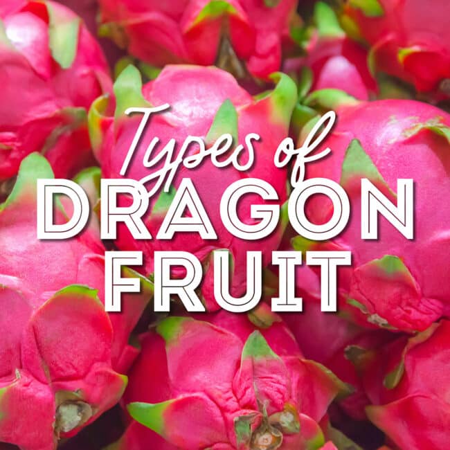 Collage that says "types of dragon fruit".