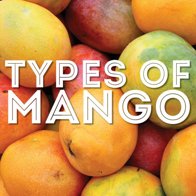 Collage that says "types of mango".