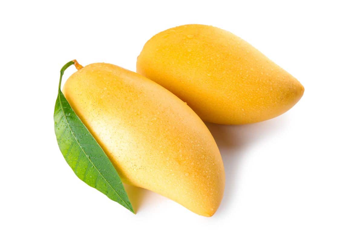 Alphonso mangoes on a. white background.