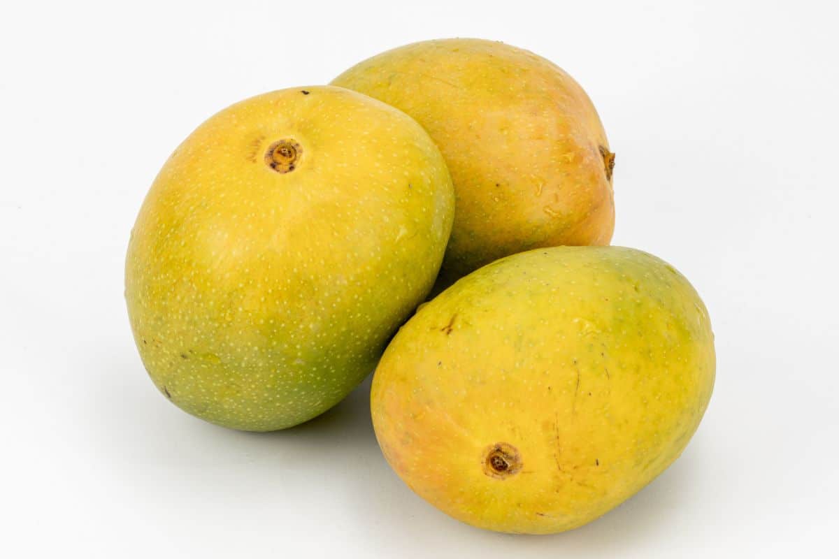 Badami mangoes on a white background.