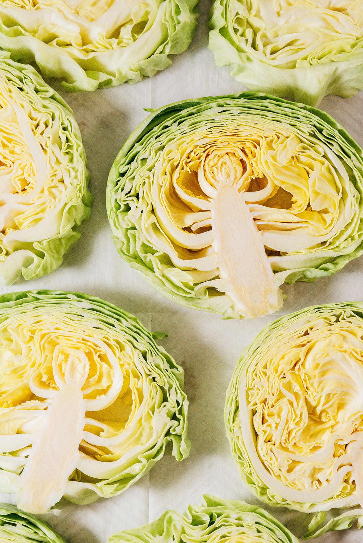 Cabbages sliced close up.