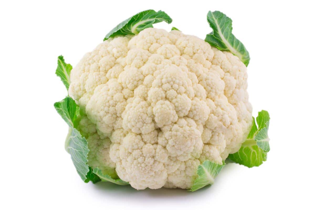 A head of cauliflower on a white background.