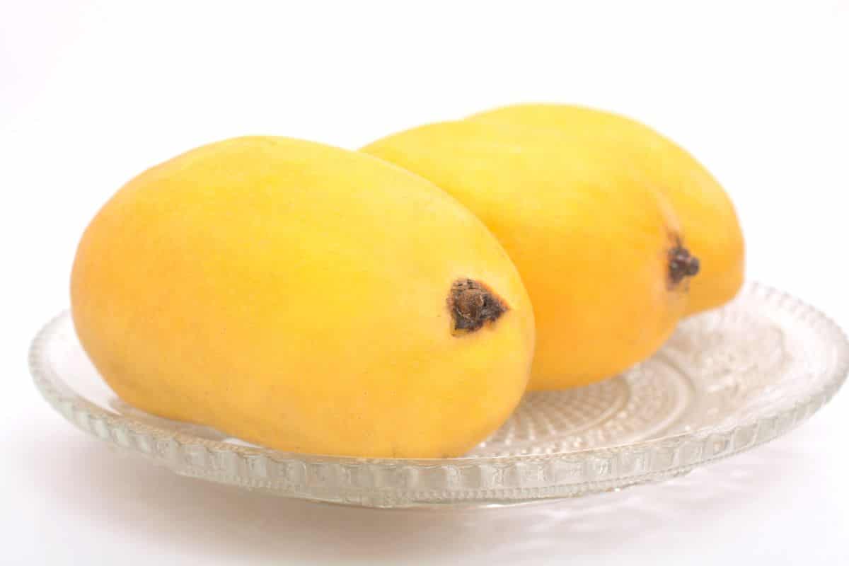 Chaunsa mangoes on a plate on a white background.