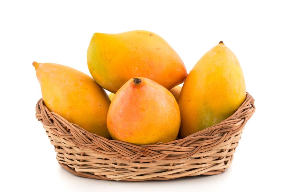 Kesar mango in a basket on a white background.