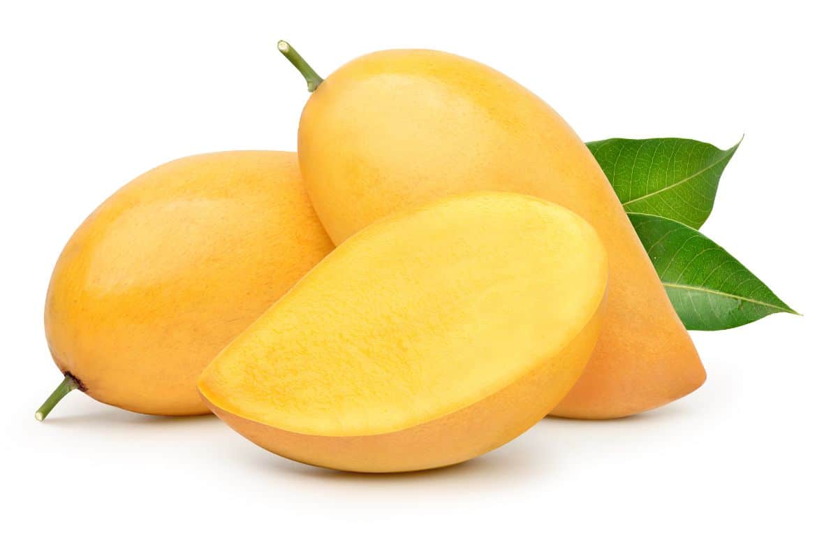 Nam dok mai mangoes on a white background.