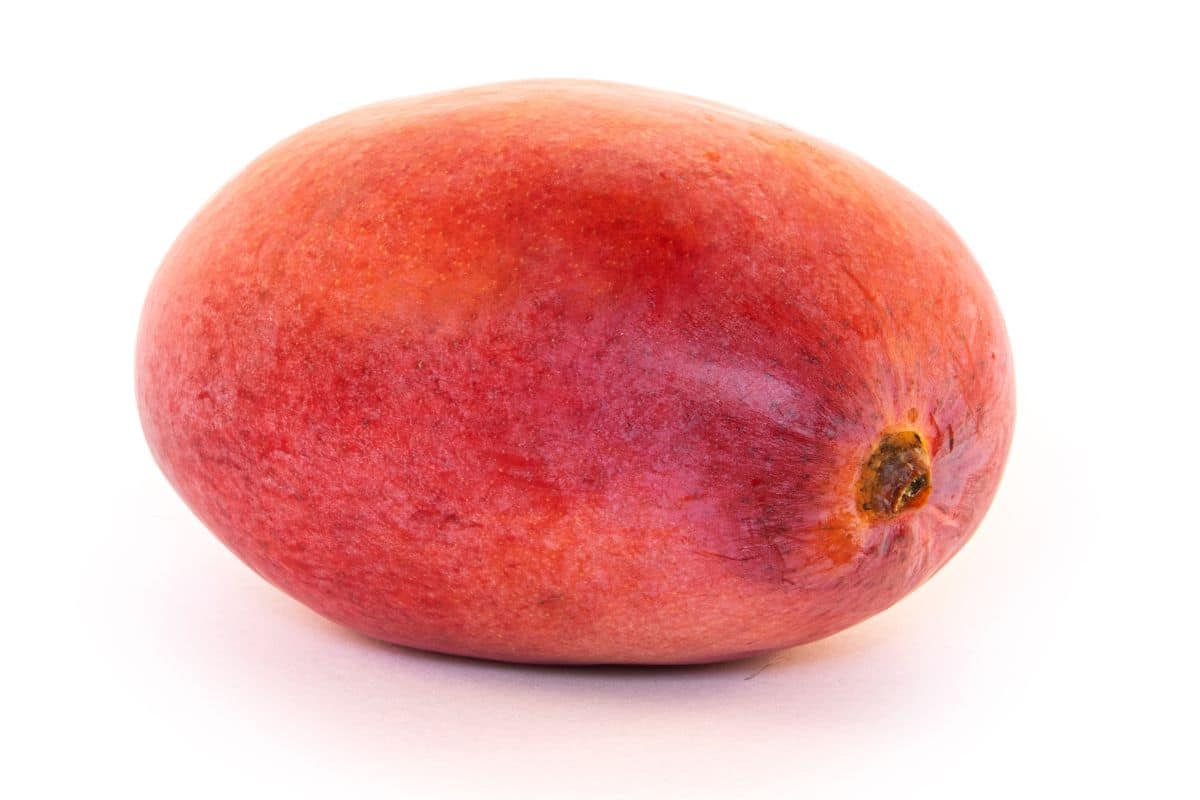 A zill mango on a white background.
