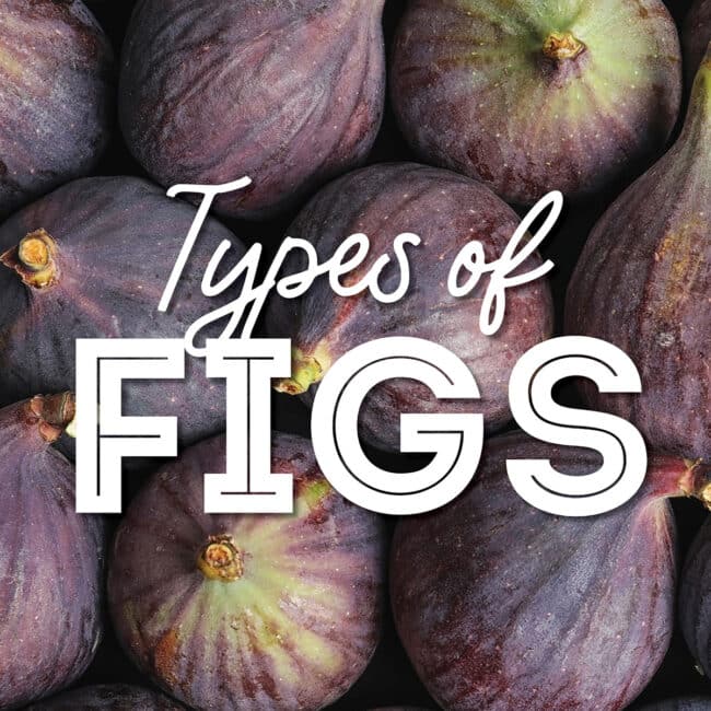 Collage that says "types of figs".