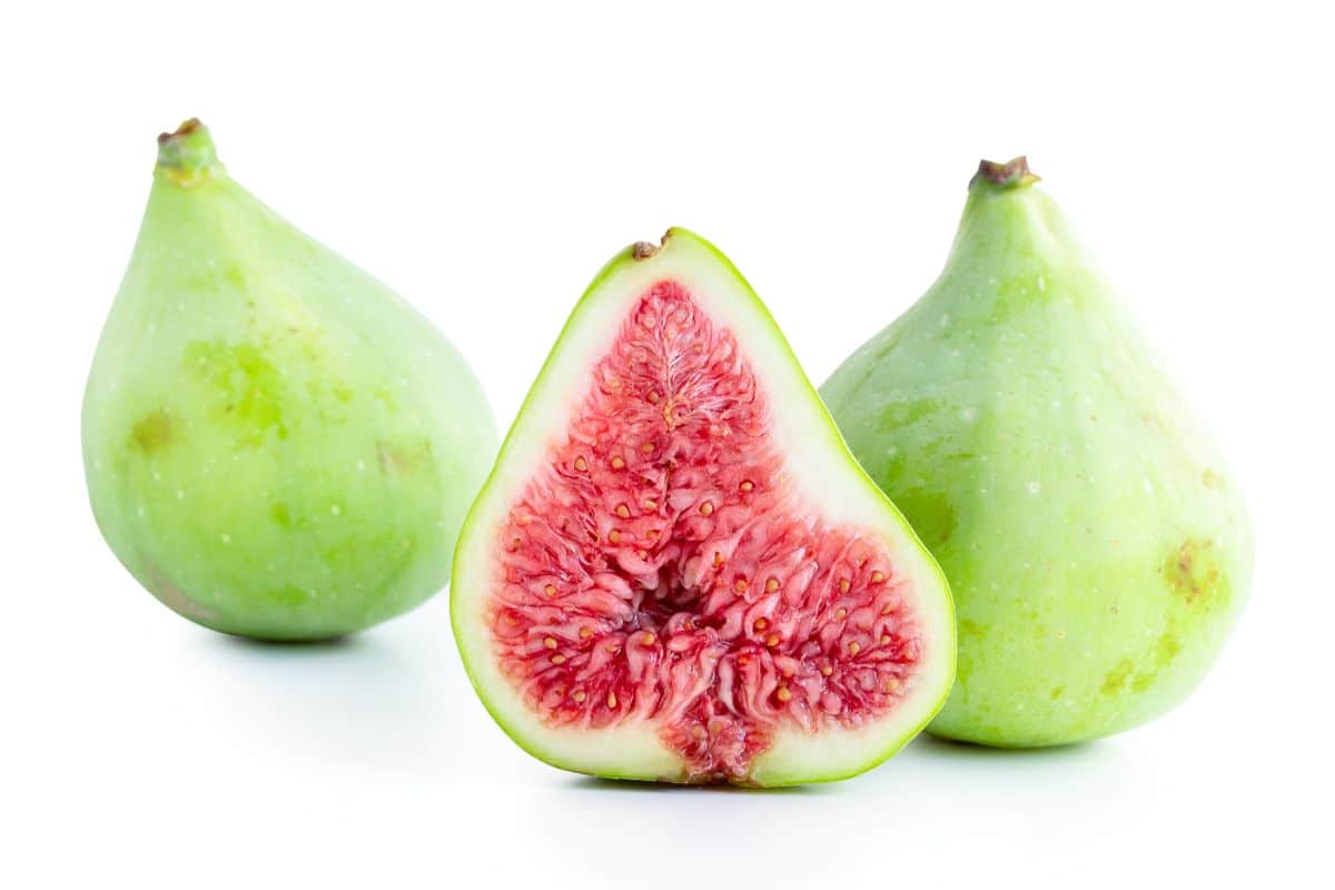 Adriatic fig on an isolated white background.