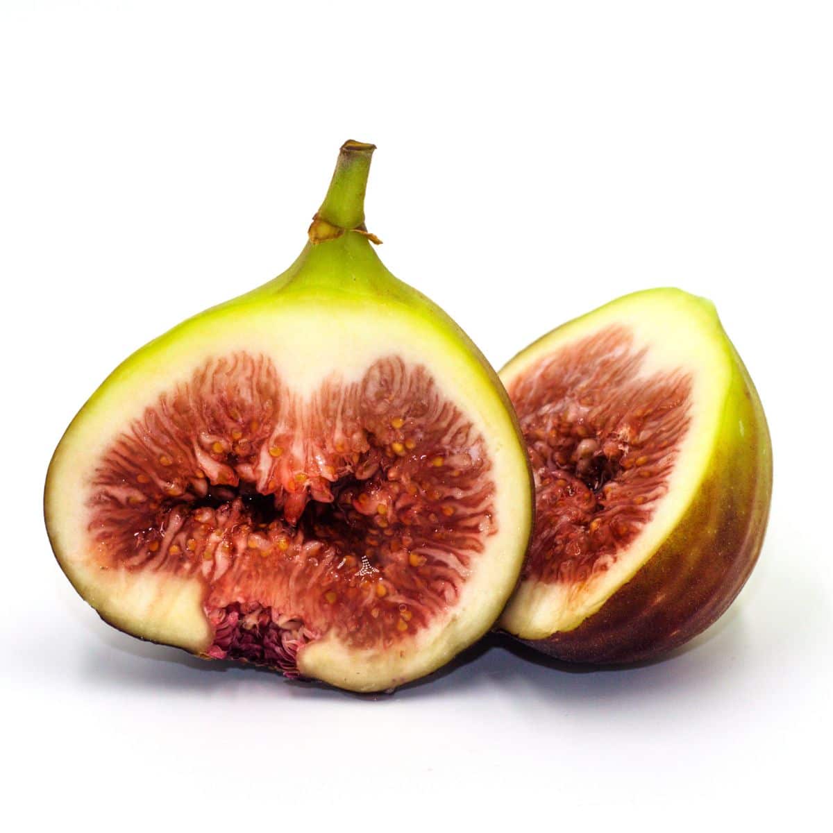Brown turkey fig on an isolated white background.