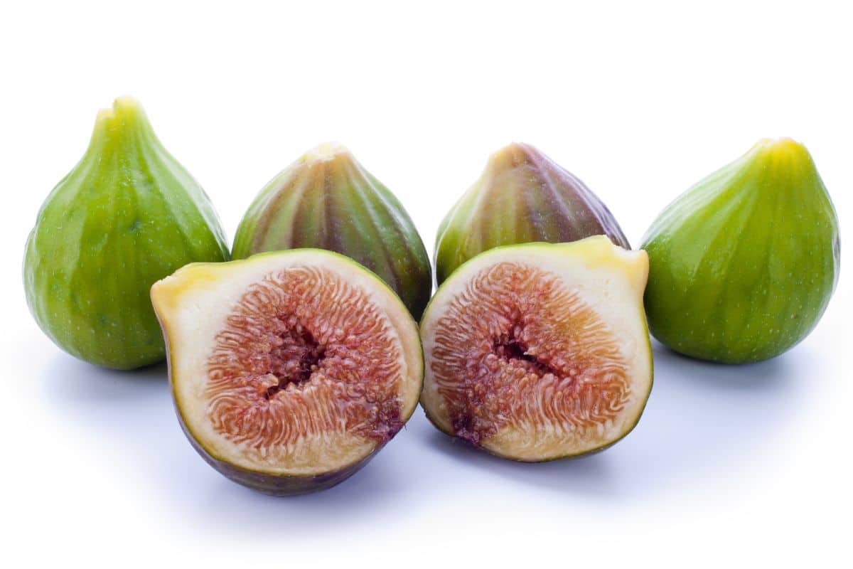 Florentine fig on an isolated white background.