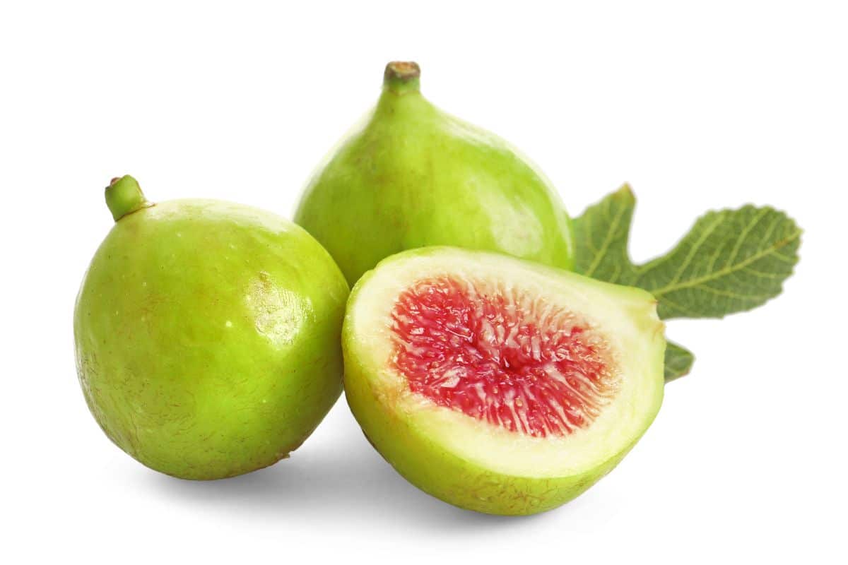 Green ischia fig on an isolated white background.