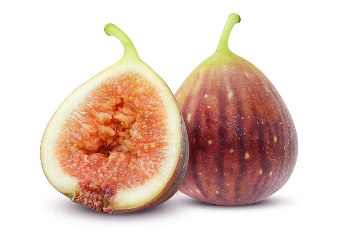 Smyrna fig on an isolated white background.