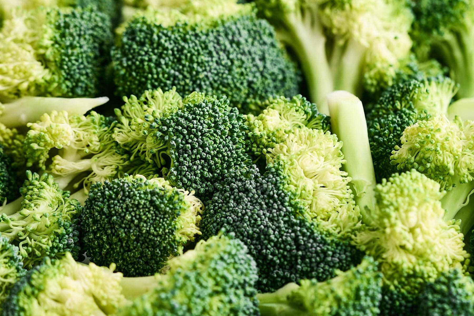 Close up of chopped broccoli florets.