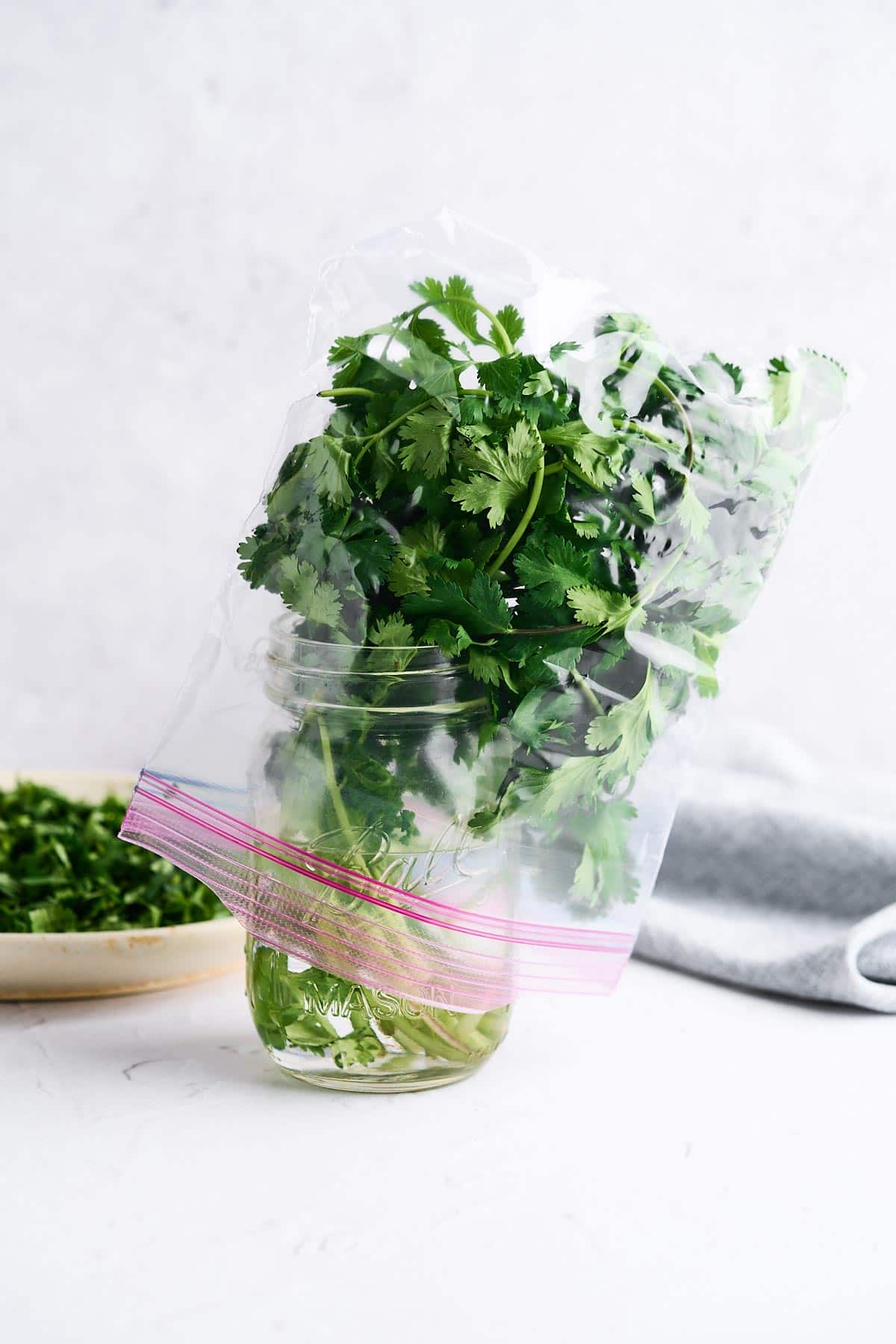 Cilantro in a jar of water.